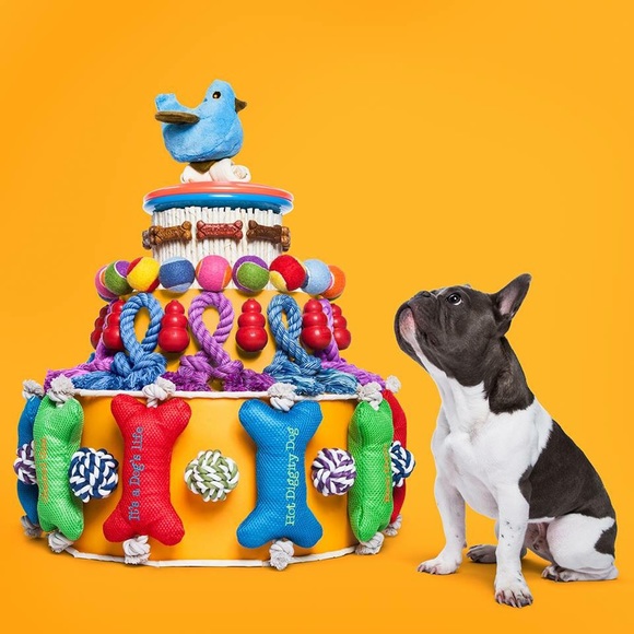 Profile Picture of Ray Ranghelli (@wpbx2) on Poshmark