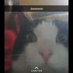 Profile Picture of Amandine Vigneron (@annyah3002) on Instagram