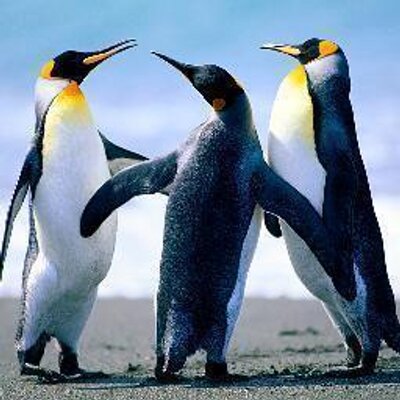 Profile Picture of Daniel Gerhardt (@Gerhardt_Daniel) on Twitter