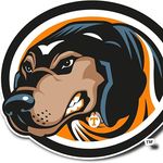 Profile Picture of Brian Doran (@dorantechnologies) on Instagram