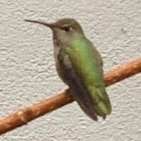 Profile Picture of Kevin Pon (@kevin-pon-2) on Quora