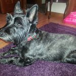 Profile Picture of Jolene Marie Kepner Gregor (@gregorjolene) on Instagram