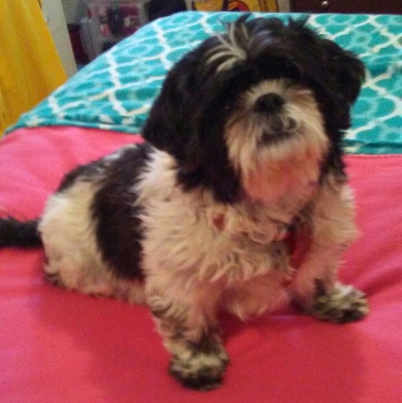 Profile Picture of Stephanie Ackey (@stephanie257) on Poshmark