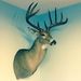 Profile Picture of Jacob Dahlin (@jacobdahlin) on Pinterest