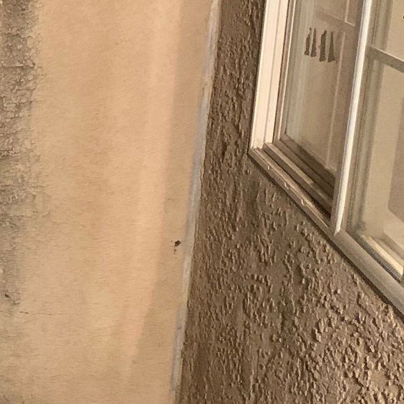 Profile Picture of Jesse Salcedo (@jesse_salcedo) on Poshmark