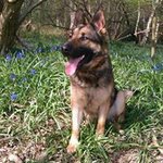 Profile Picture of Tracey Willett (@tawillett64) on Instagram