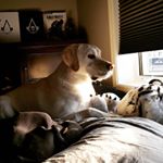 Profile Picture of Gavin Ludwig (@gavin_ludwig) on Instagram