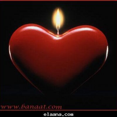 Profile Picture of Tamer Hamed (@tamerhamed1) on Twitter