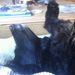 Profile Picture of Thomas Prock (@prock1014) on Pinterest