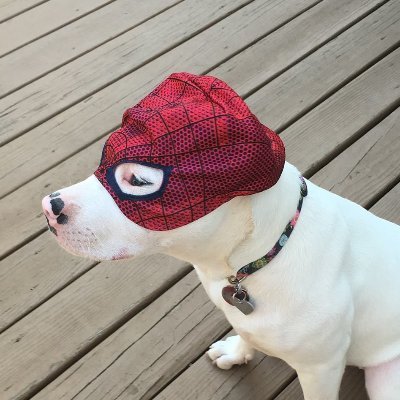 Profile Picture of Jeff Dowling (@JeffDowling14) on Twitter