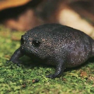 Profile Picture of Jarvis Thompson (@JarvisT73442423) on Twitter
