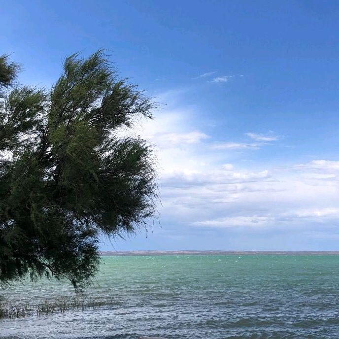 Profile Picture of _jessicaoporto (@_jessicaoporto) on Tiktok