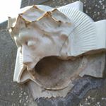 Profile Picture of Paul Cornelis (@paul.cornelis) on Instagram