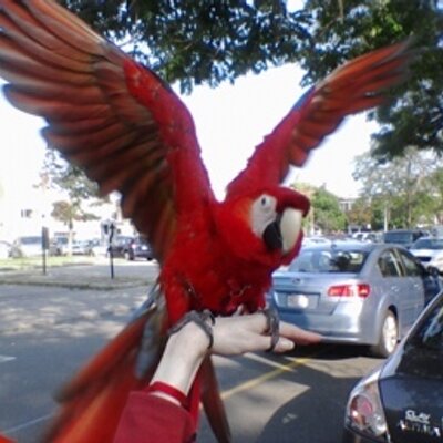 Profile Picture of Fred F. Freeman (@mchumm3r) on Twitter