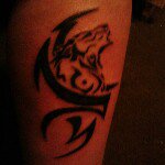 Nick McCool - Instagram Profile Picture of Nick McCool (@crittermanjr) on Instagram