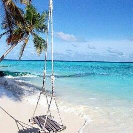 Profile Picture of Stephanie Schrader (@steph_ann707) on Twitter