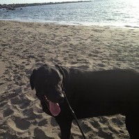 Profile Picture of Erik Springer (@erik-springer) on Quora