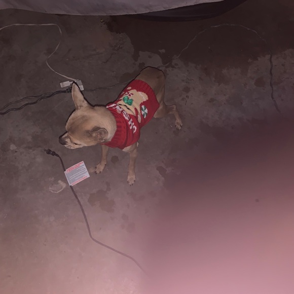 Profile Picture of Bismarck Vazquez (@bismarckvazquez) on Poshmark