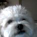 Profile Picture of Glenn Schultz (@glenn.schultz.52) on Facebook