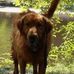 Profile Picture of Danny Dantzler (@danny.dantzler.5) on Facebook