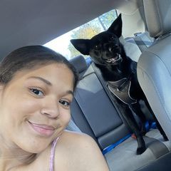 Profile Picture of lindaschultz4 (@lindaschultz4) on Tiktok