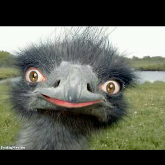 Profile Picture of Natasha Clower (@ryanclower) on Poshmark