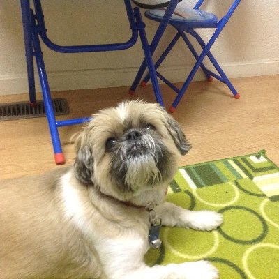 Marc2suave - Twitter Profile Picture of Marc2suave (@marc2suave) on Twitter