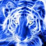 Brian Seymore - Instagram Profile Picture of Brian Seymore (@coachseymore) on Instagram