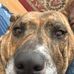 Profile Picture of Howard Hyde (@howard.hyde.735) on Facebook