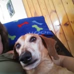 Profile Picture of Kim Cribb (@kim.cribb.376) on Facebook