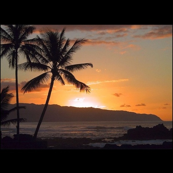 Profile Picture of Cayla Campbell (@cayla_143) on Poshmark