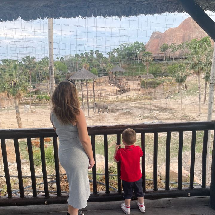 Profile Picture of Nikki 💫| Scott’s Mummy (@mummyandscottsadventures) on Tiktok