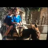 Profile Picture of peter (@peter.demetrio) on Tiktok