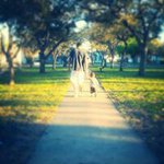 Profile Picture of Jim Barrera (@chorizojim361) on Instagram