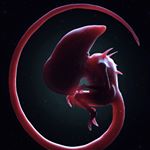 Cooper Moore - Instagram Profile Picture of Cooper Moore (@stripe1243) on Instagram