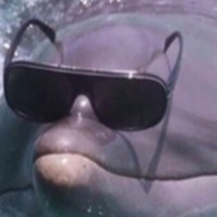 Profile Picture of Joshua Riddle (@joshua-riddle-28) on Quora