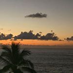 Profile Picture of Buddy Brandy Cannon (@buddybrandycannon) on Instagram