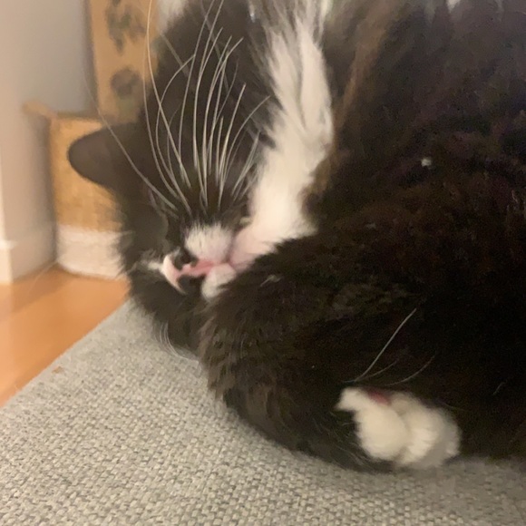 Profile Picture of Amanda Mcinnes (@normadee974) on Poshmark