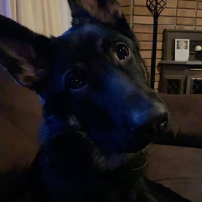 Profile Picture of Stephanie Karl (@StephanieK2022) on Twitter