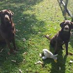 Profile Picture of Nancy Opp Boylan (@nancy.o.boylan) on Instagram