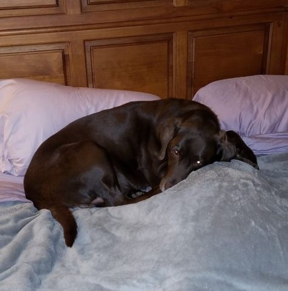 Profile Picture of Michele Stossel (@mikiec5000) on Poshmark