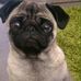 Profile Picture of Bradley Radcliffe (@bradley.radcliffe.7) on Facebook