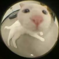 Profile Picture of aaronmatz_ (@aaronmatz_) on Tiktok