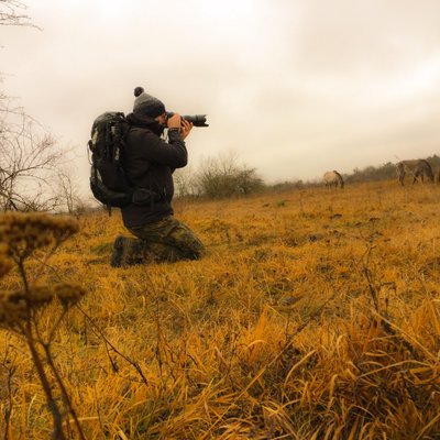 Profile Picture of Andre Bach Fotografien (@AndreBach96) on Twitter