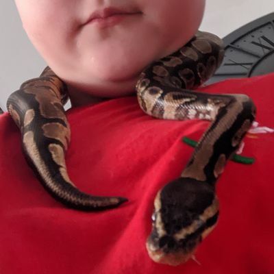 Profile Picture of David Rafferty (@DavidRa97361816) on Twitter