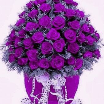 Profile Picture of Cristal Perez (@Cristal5246) on Twitter