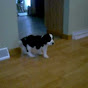 Profile Picture of treyman548 (@@treyman548) on Tiktok