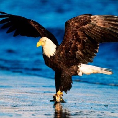 Profile Picture of Chris (@ChrisStile) on Twitter