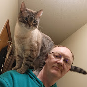 Profile Picture of Steven Larson II (@stevenlarsonii) on Youtube