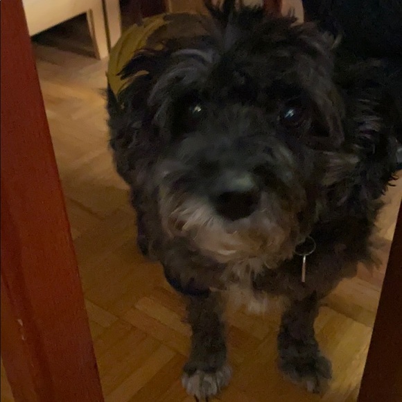 Profile Picture of Lorilyn Mangune (@eirol_neri) on Poshmark